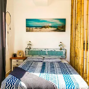 Aloe Studio Corralejo